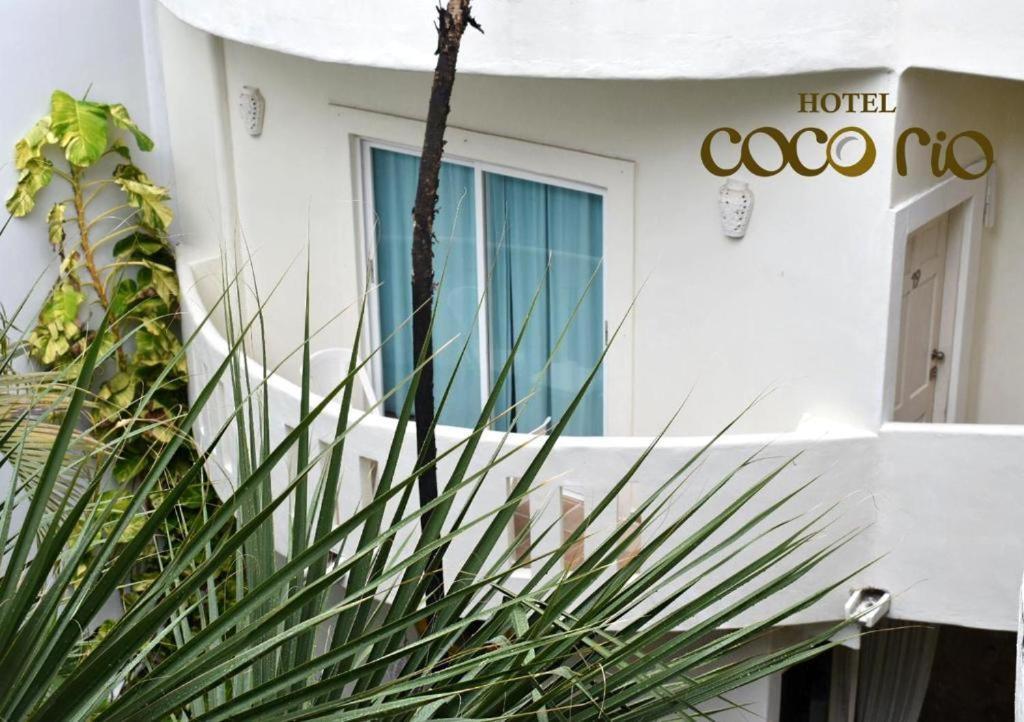 Hotel Casa Coco Rio Playa del Carmen Kültér fotó
